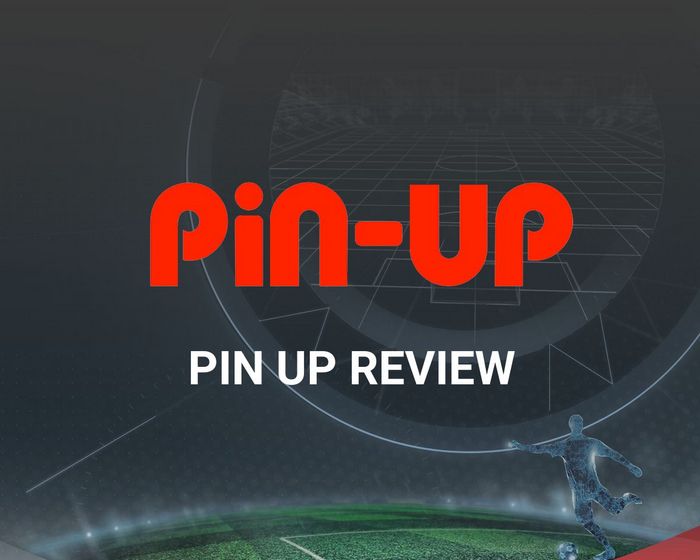 Pin-Up Gambling Enterprise App Download And Install